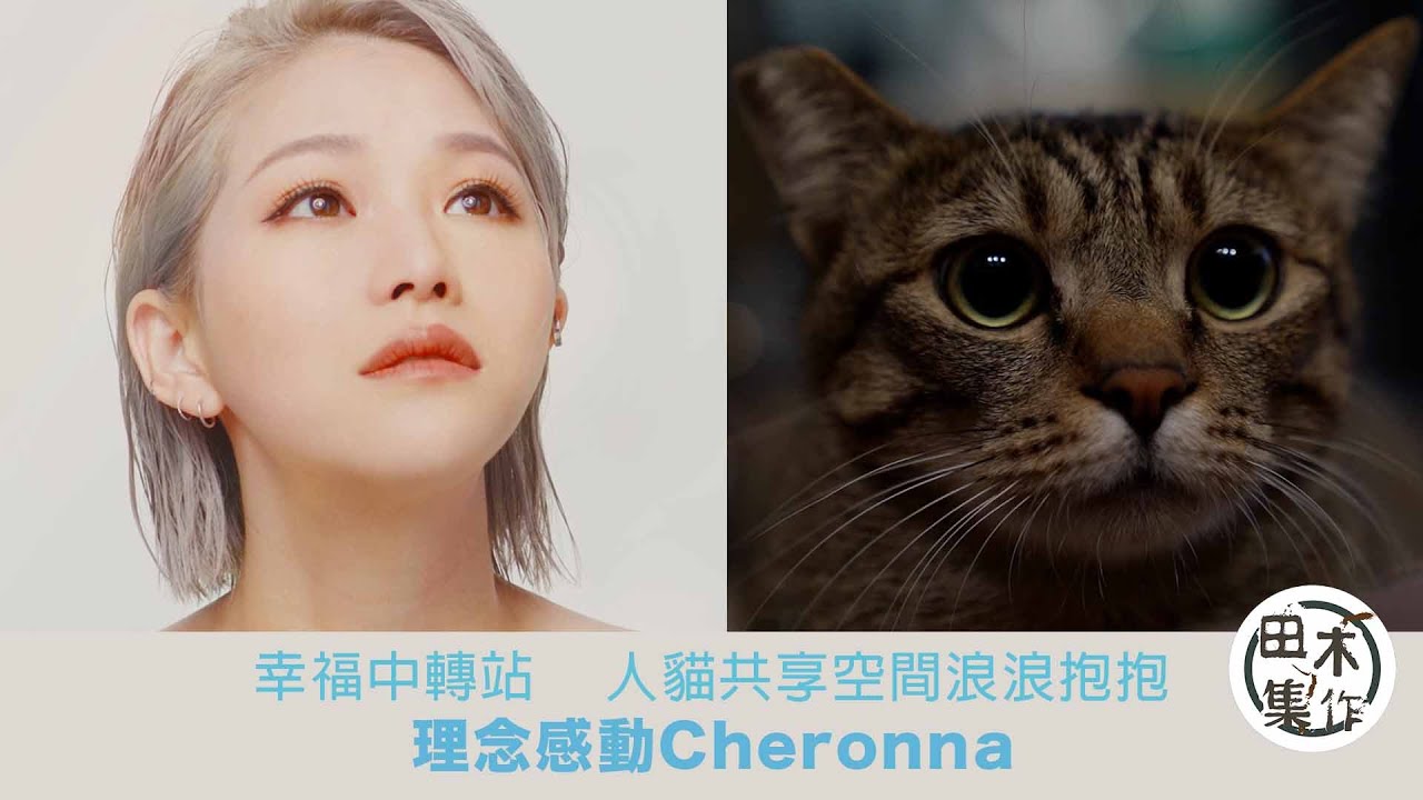 吳嘉禧探訪浪浪中轉站 佩服創辦人夠耐性