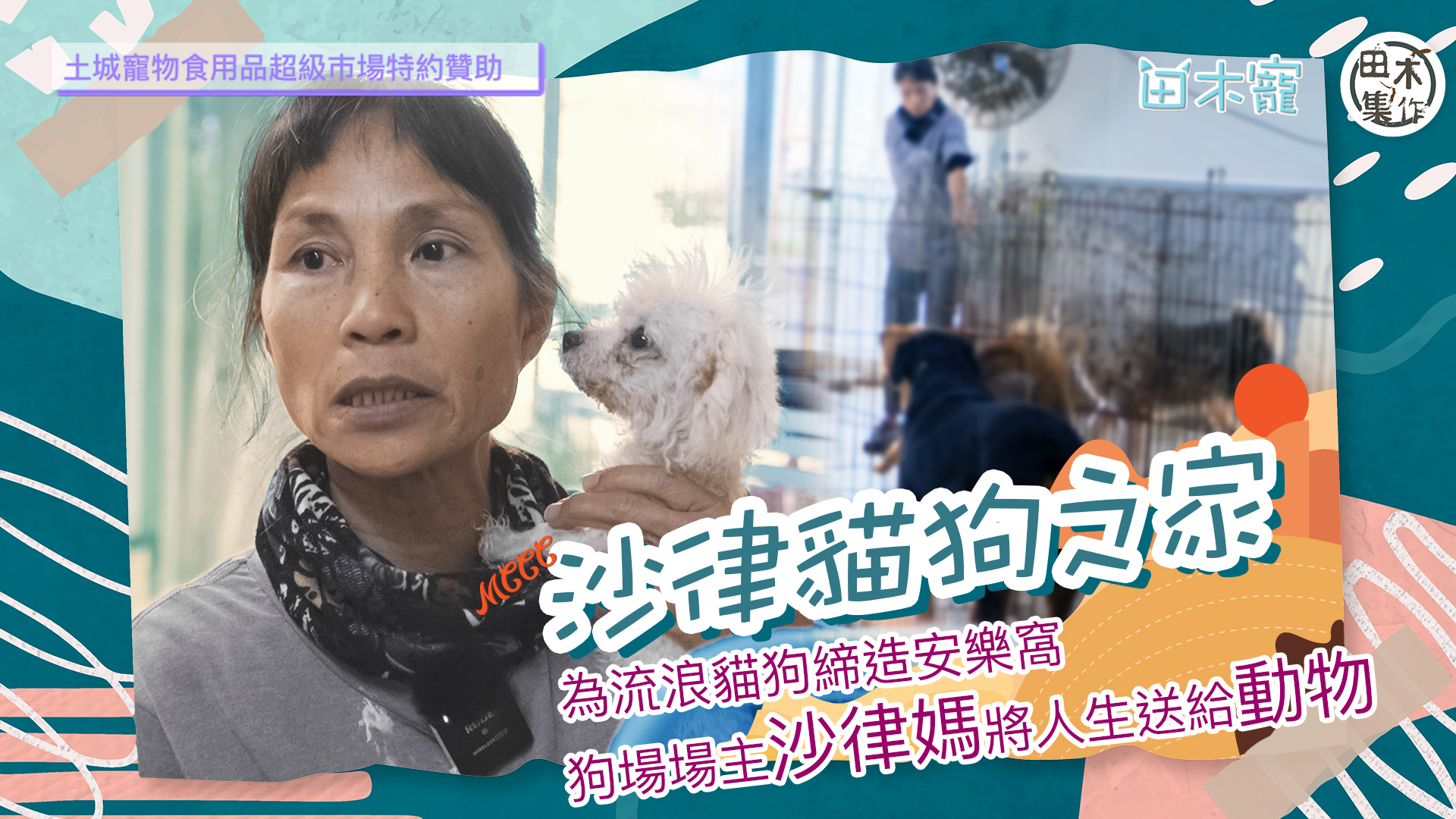 為流浪貓狗締造安樂窩 狗場場主沙律媽將人生送給動物