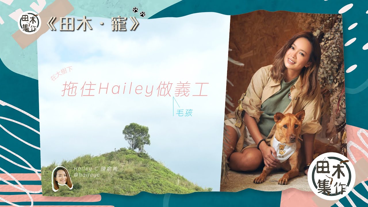 陳俞希經歷愛犬離世 狗場當義工望更多唐狗被愛