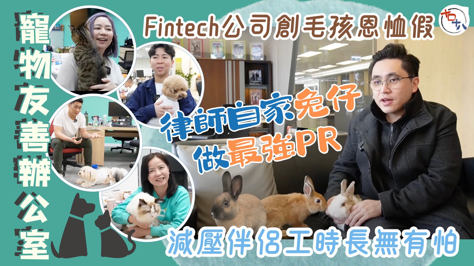 寵物友善辦公室丨Fintech公司創毛孩恩恤假 ｜貓狗戴員工…