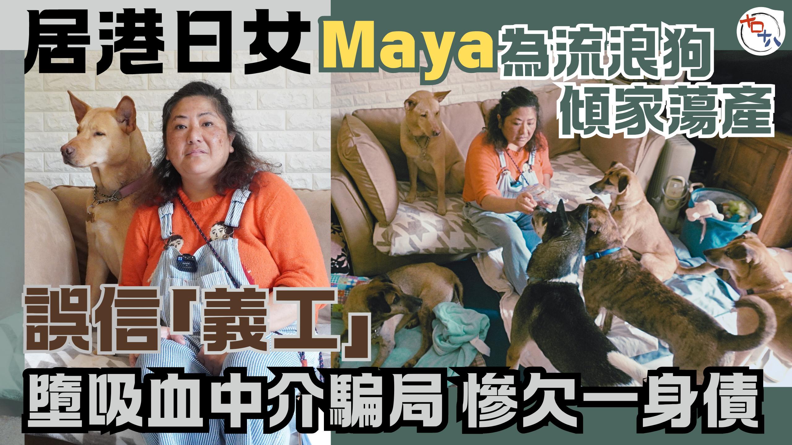 在港日女🇯🇵Maya為幫流浪狗傾家蕩產丨誤信「義工」墮吸血中…