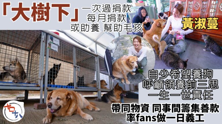 大樹下善待動物庇護站丨Feanna黃淑蔓籌集善款率Fans做…
