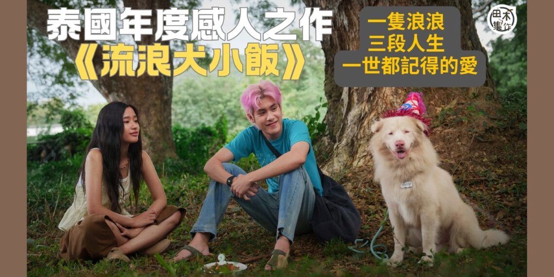 泰國年度感人之作《流浪犬小飯》丨一隻浪浪  三段人生  一世都記得的愛丨田木集作