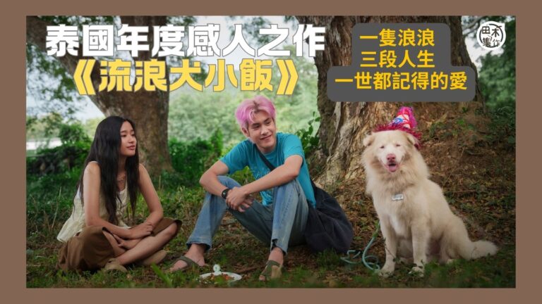 泰國年度感人之作《流浪犬小飯》丨一隻浪浪  三段人生  一世…