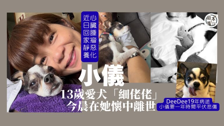阮小儀愛犬「細佬佬」今晨在她懷中安詳離世 發公開信感謝陪伴1…