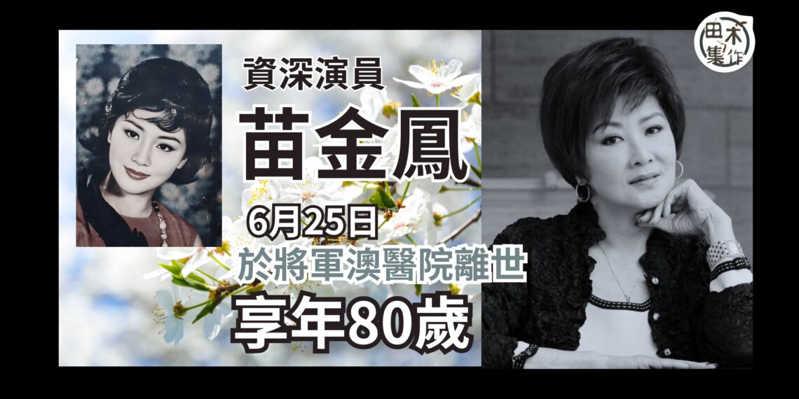 「港產AV女優」素海霖涉替非法賭博網站宣傳被捕 獲准保釋7月下旬向警方報到丨田木集作